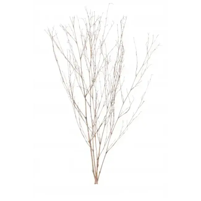 Natural 5 Stem Bamboo Branches