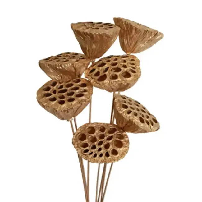 Gold Metallic 7 Stem Lotus Pods
