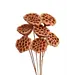 Copper Metallic 7 Stem Lotus Pods