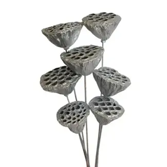 Silver Metallic 7 Stem Lotus Pods