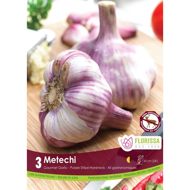 Garlic - Metechi