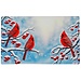 29x18" Cardinal Rubber Mat