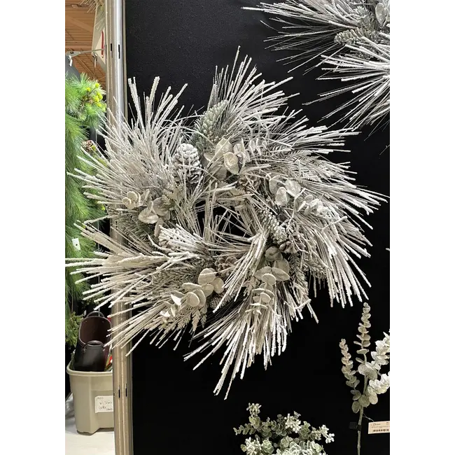 24" Snowed Sugar Pine Wreath w/ Cones