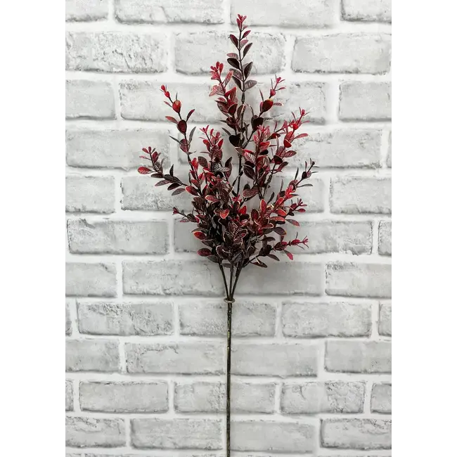26" Burgundy Euonymus Pick