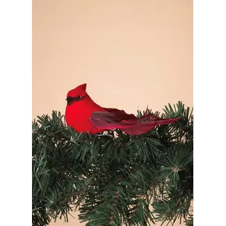 4.5" Cardinal Clip MED