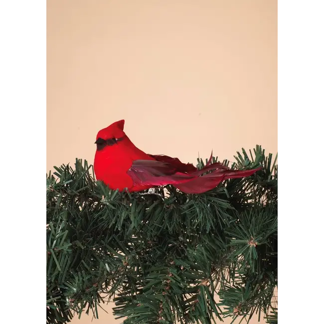 4.5" Cardinal Clip MED