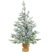 3' Flocked White & Green Norway Spruce Tree