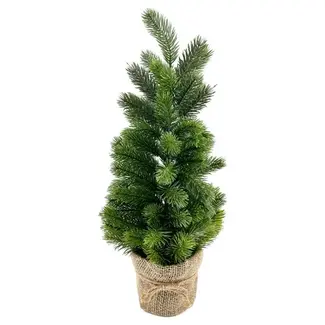 Green Tree in Burlap