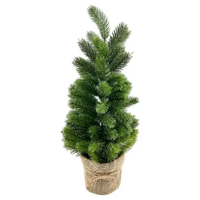 Green Tree in Burlap