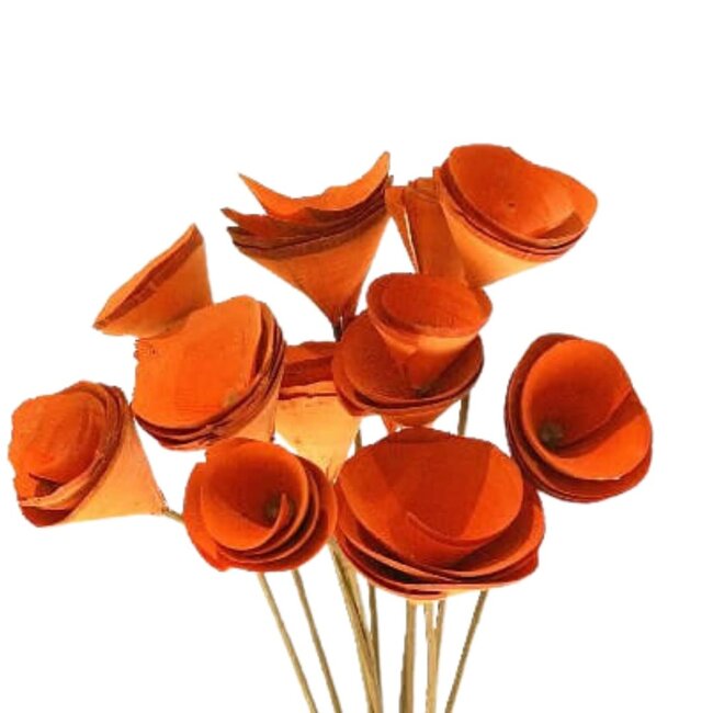 3" Orange Wood Cones Mini