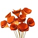 3" Orange Wood Cones Mini