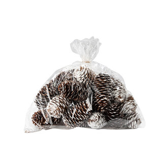 Frosted Natural Pinecones 24pk