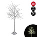 5' Prelit White Birch Tree