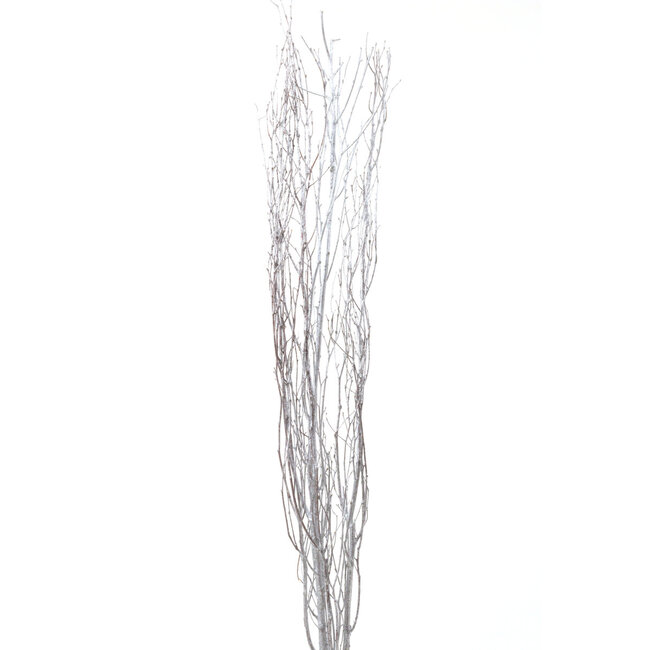 4' Silver Glitter Birch Branches