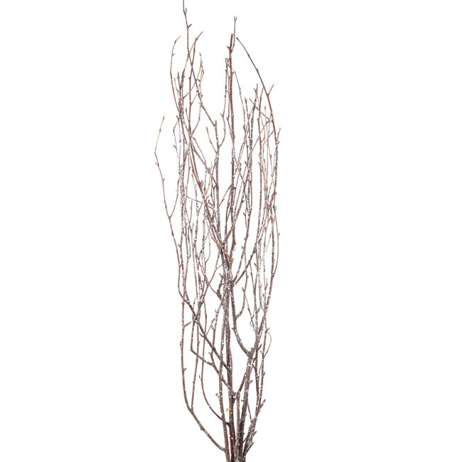 4' Snow Birch Branches