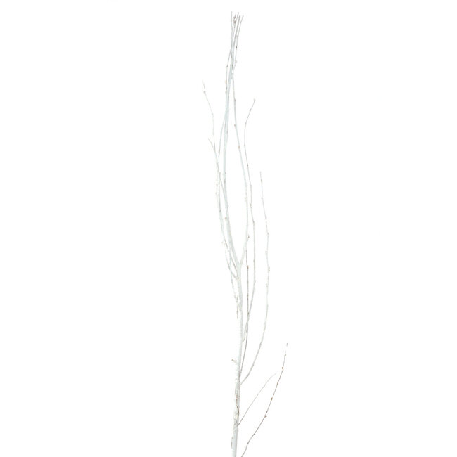 4' Snow Birch Branches