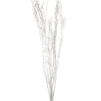 4' White Frost Birch Branches
