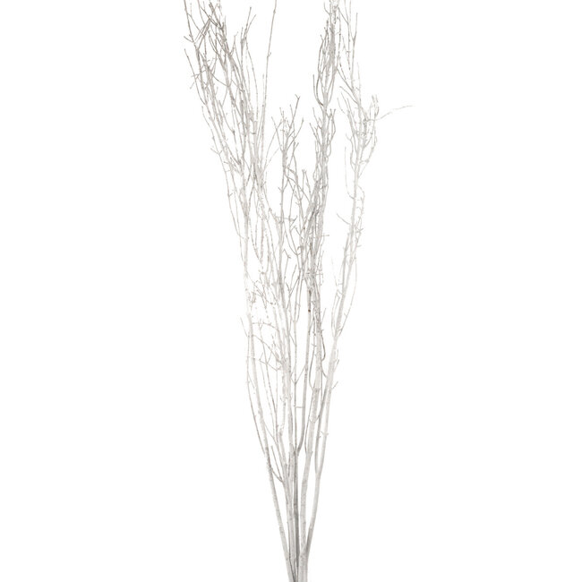 4' White Frost Birch Branches