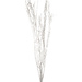 4' White Frost Birch Branches