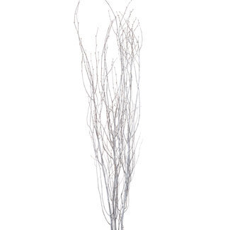 4' White Wash Birch Branches