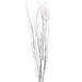 4' White Wash Birch Branches