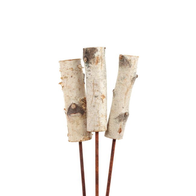 Birch Stake Natural