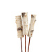 Birch Stake Natural