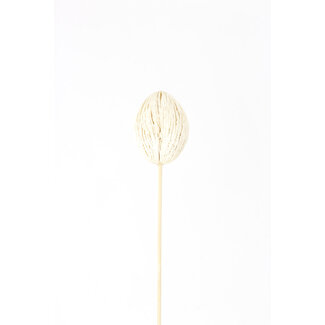 Bleached Mintolla Balls Pick
