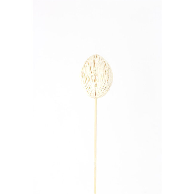 Bleached Mintolla Balls Pick