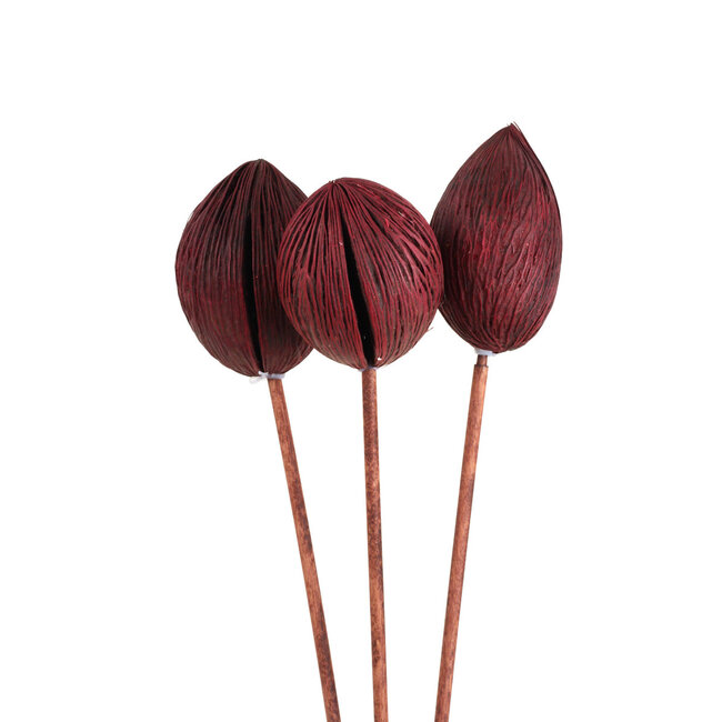 Burgundy Mintolla Balls Pick