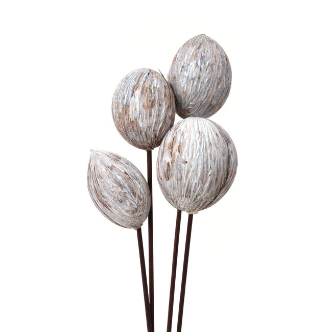 White Washed Mintolla Balls Pick