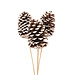Jumbo White Tip 3 Stem Pinecone Pick