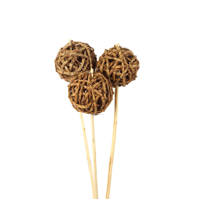 Natural Root Ball 3 Stem Pick