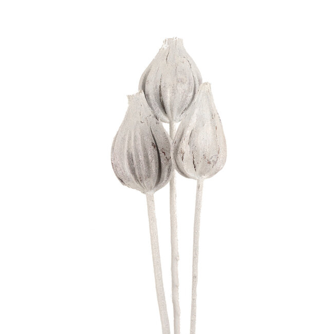 White Frost Sakai Pod