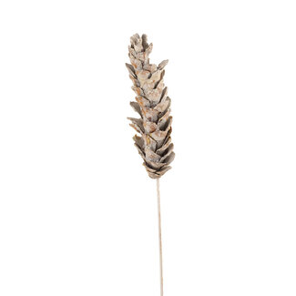 White Wash Strobus Pinecone Pick