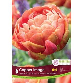 Tulip - Copper Image