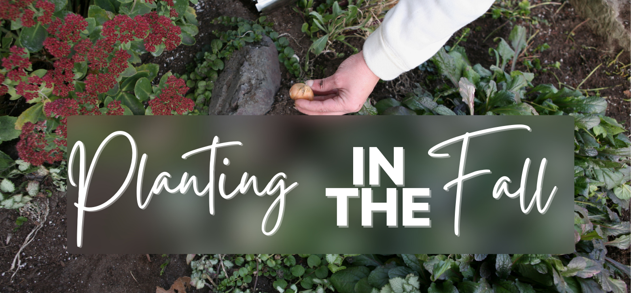 Planting in the Fall