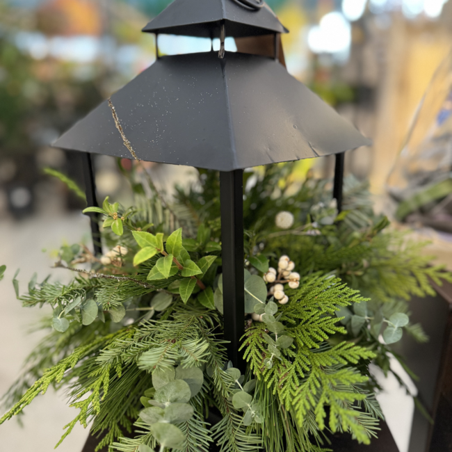 Christmas Greens Refill Workshop