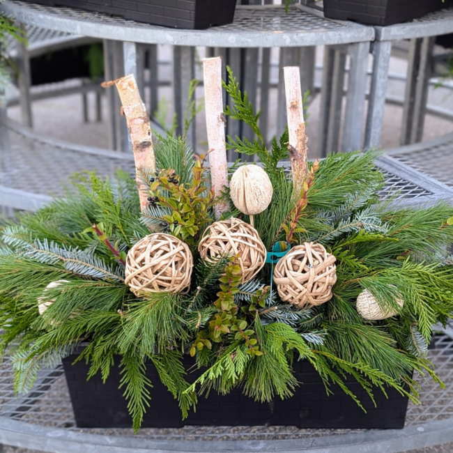 Holiday Greens Window Box Workshop