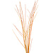 Flame Willow - Natural 3-4'