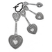 Hearts Measuring Spoons 4pc