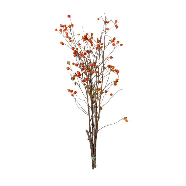Rosehips 5st Medium