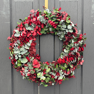 24" Red/Green Dyed Wreath