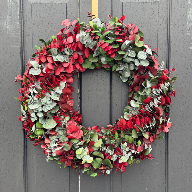 24" Red/Green Dyed Wreath