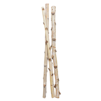 3' Birch Pole/ 3 per bundle