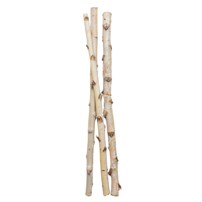 3' Birch Pole/ 3 per bundle