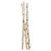 3' Birch Pole/ 3 per bundle