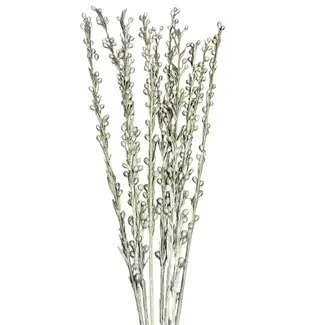 24" Platinum Moti Sticks