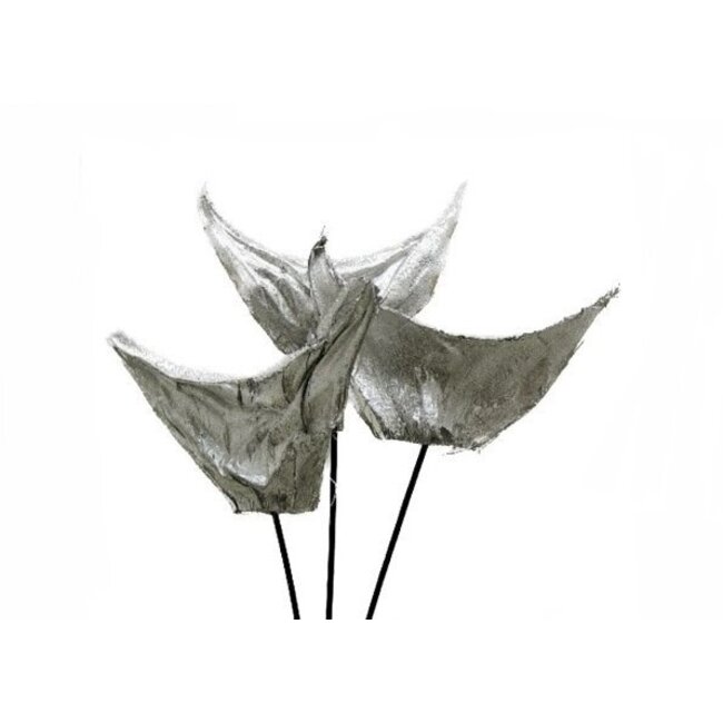 6" Silver Sparkle Agave