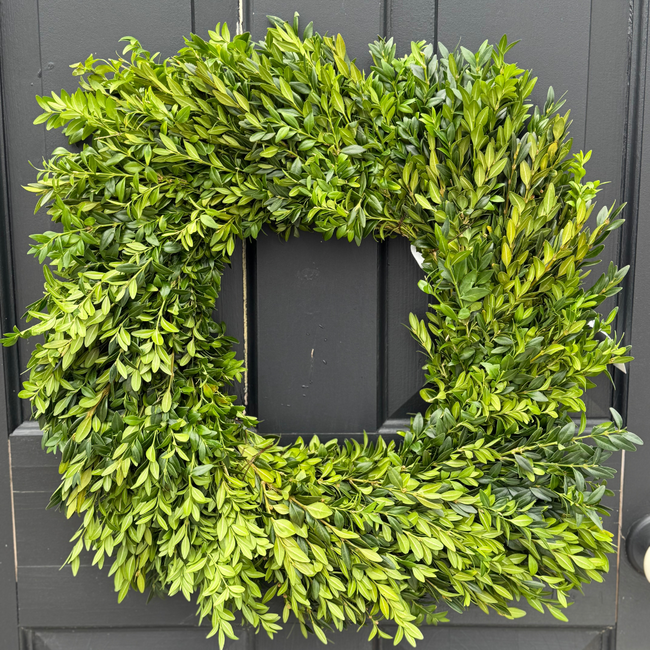 20" Square Boxwood Wreath